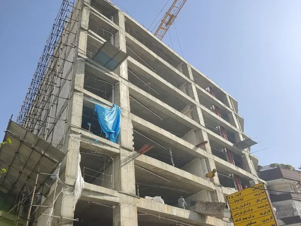 نیلوفر